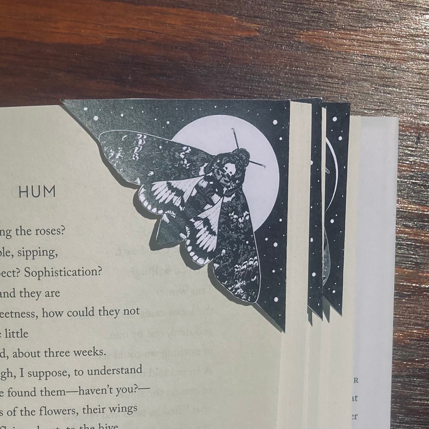 Moth Trio Printable Corner Bookmark Set (Digital Download)