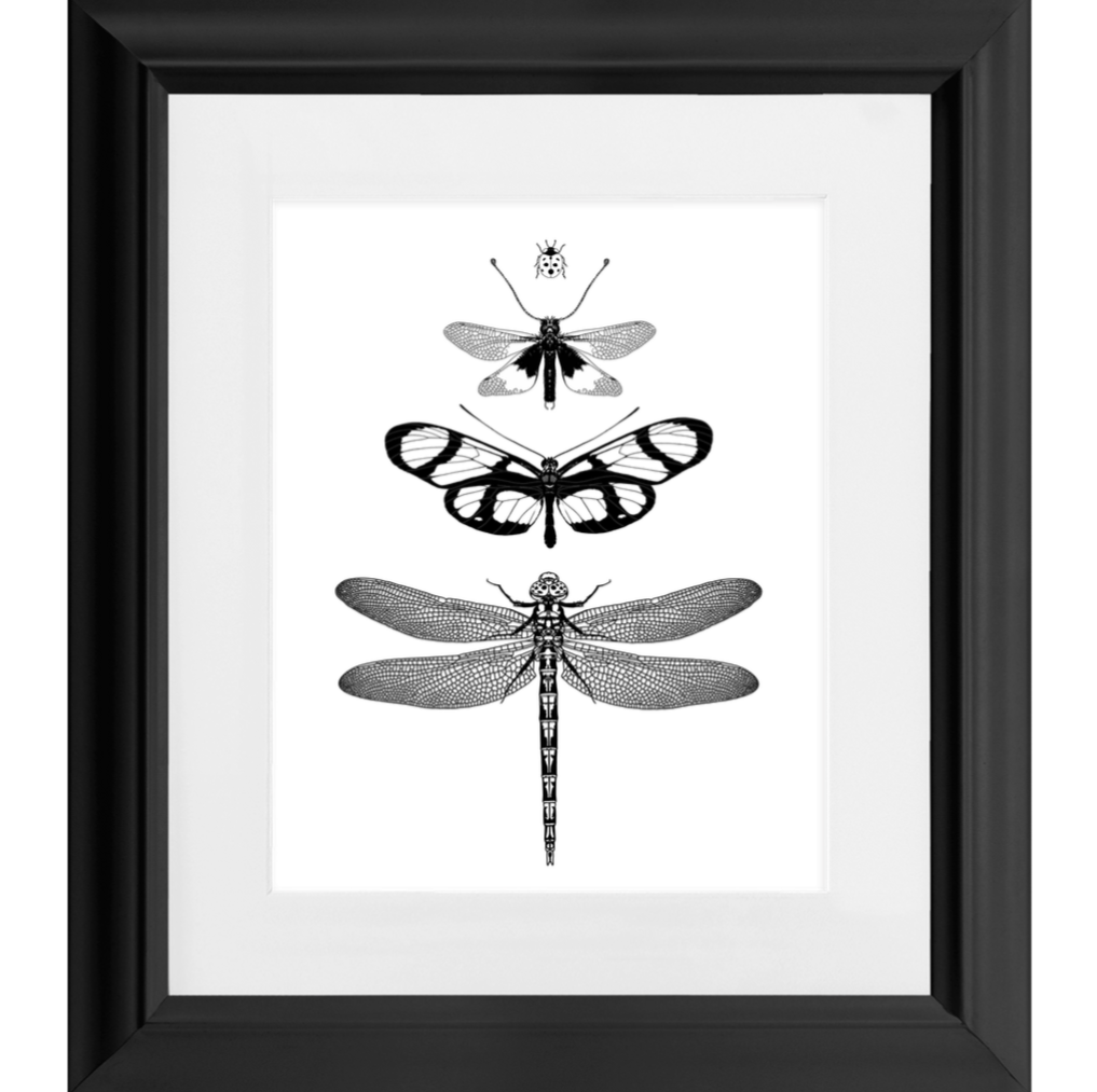 Crystal Wing Insect Stack Art Print