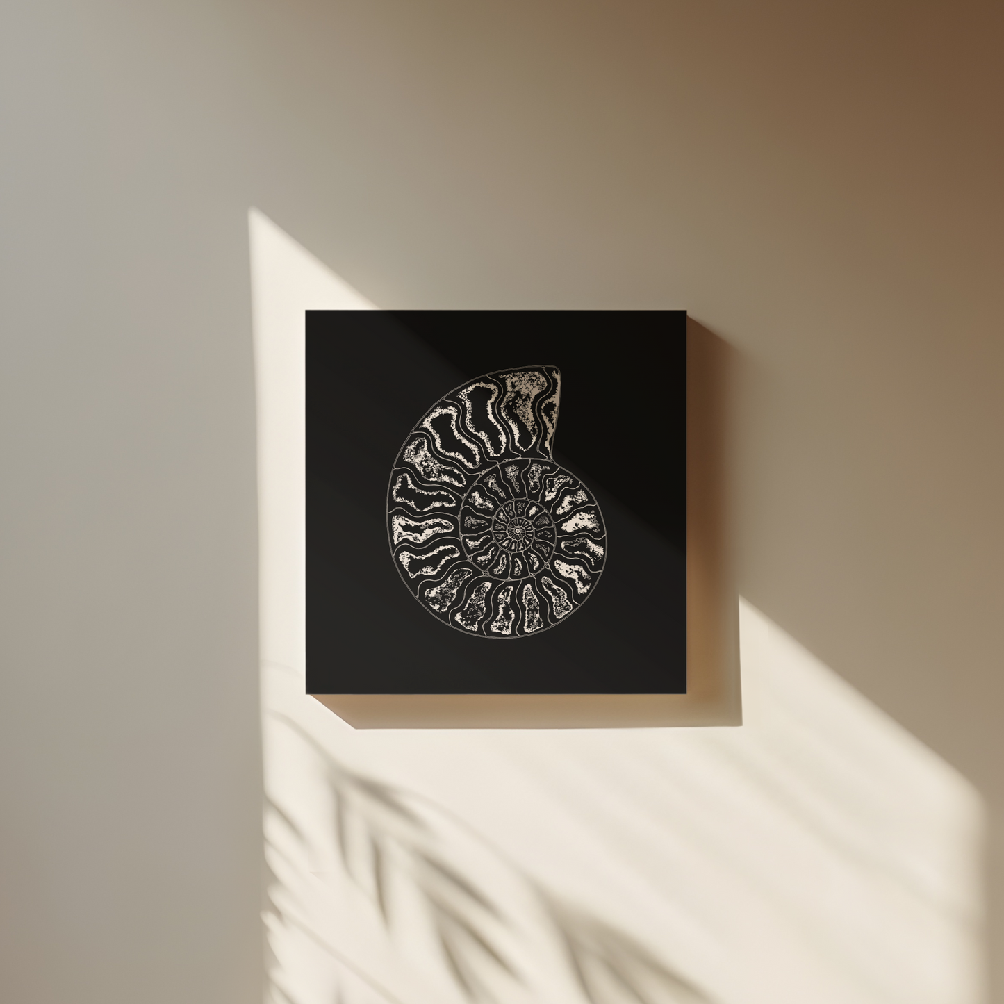 Ammonite Fossil Canvas Print