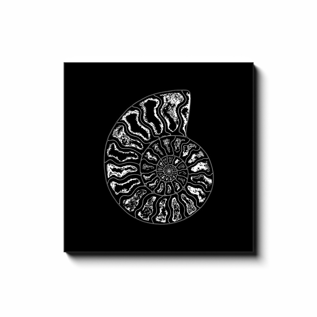 generated-proPreview-13