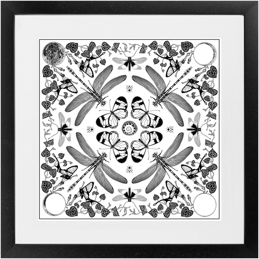 Glasswing Art Print
